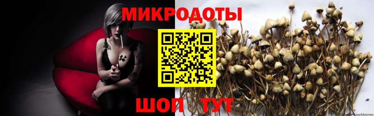 Галлюциногенные грибы Psilocybine cubensis  Вход с VPN  Галлюциногенные грибы Magic Shrooms  Гай 