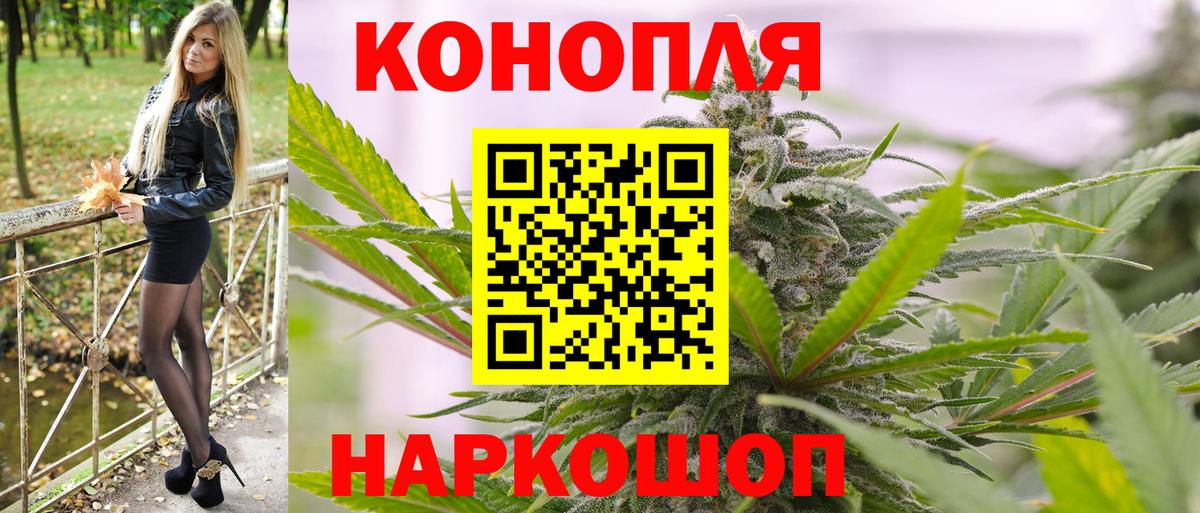 Каннабис тримм Гай